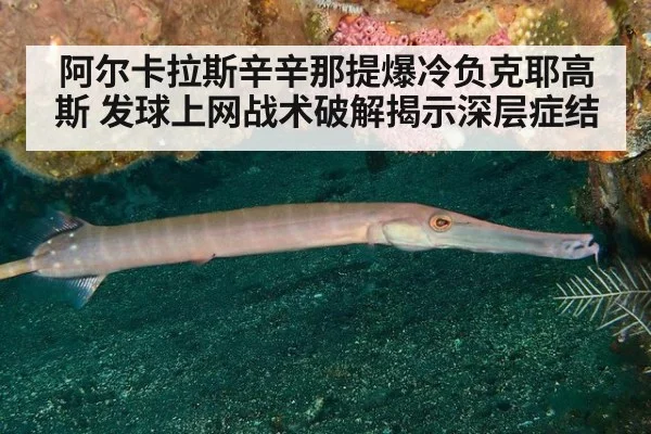 阿尔卡拉斯辛辛那提爆冷负克耶高斯 发球上网战术破解揭示深层症结