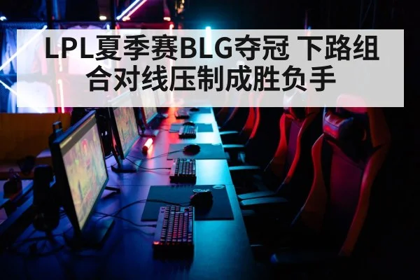 LPL夏季赛BLG夺冠 下路组合对线压制成胜负手